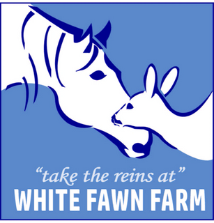 Take the Reins at White Fawn Farm