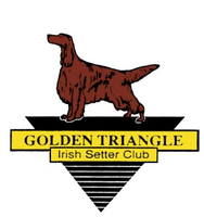 Golden Triangle Irish Setter Club