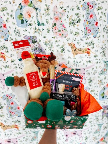 Festive holiday gift box filled with dog treats and toys.