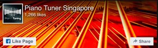 Piano Tuner Singapore Facebook Badge