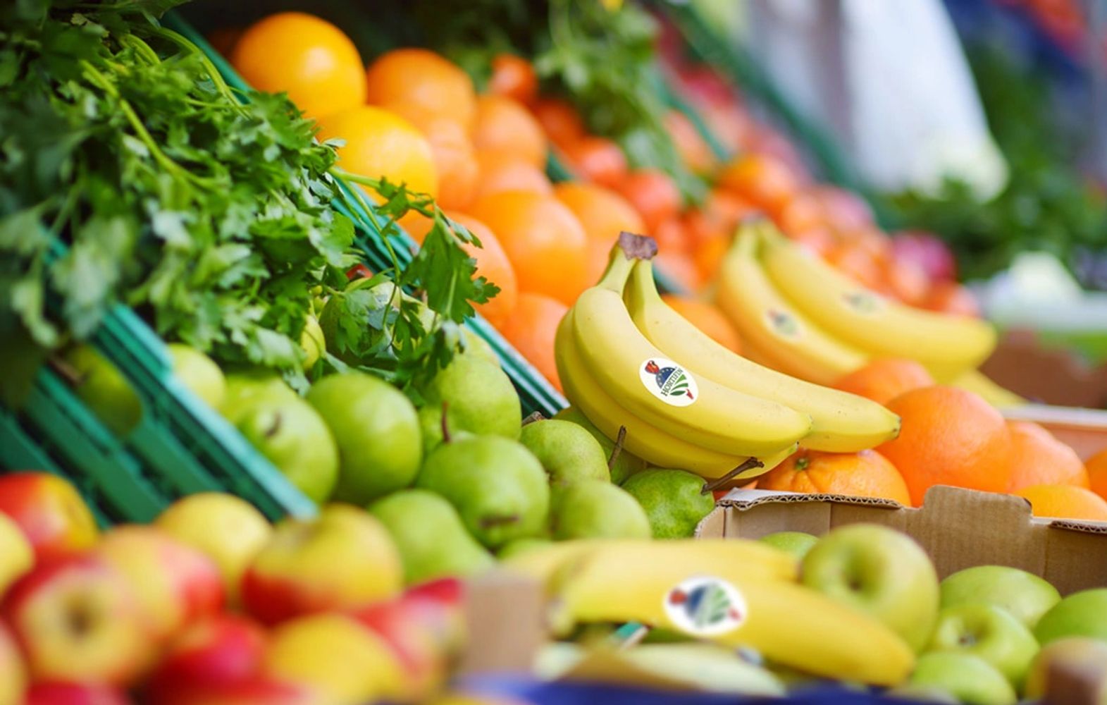 frutas frescas de Hortifin en supermercado