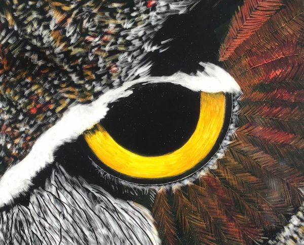 Hungry Eye * Scratch Art & India ink* 16"X13"