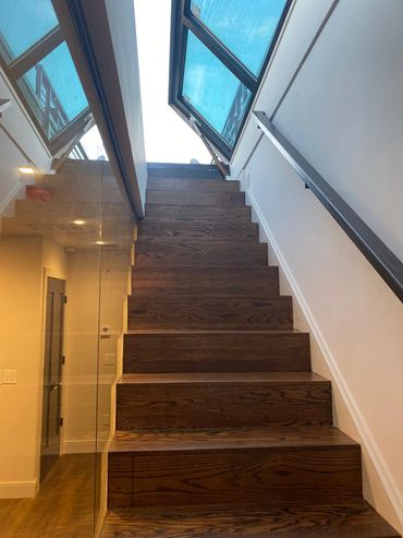 operable roof access, glass roof access, operable skylight, skyview skylight