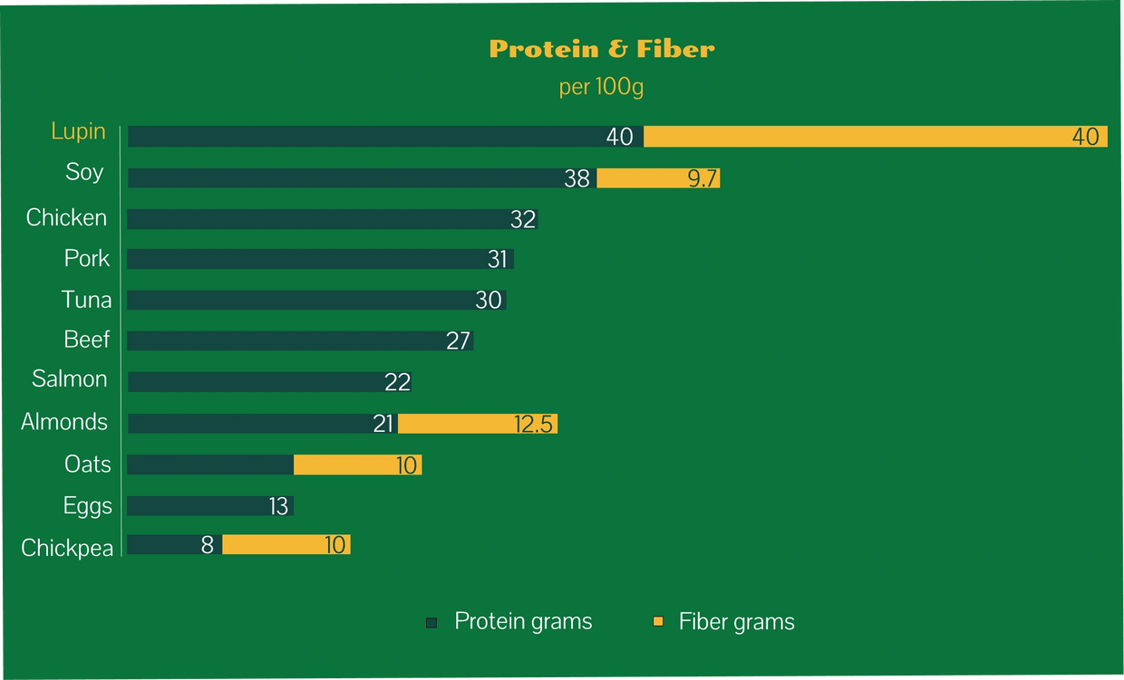 Protein and fiber content chart in main food items