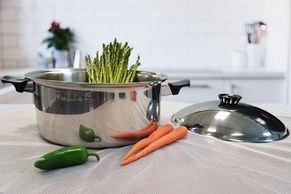 BioNcookware pot with food