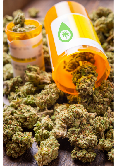 Fleurs séchées de cannabis sortant de deux pots orange de prescription médicale