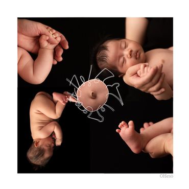 PLAN A 生後1ヶ月まで限定PLAN