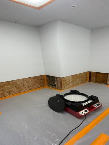 Mold Removal Company Palm Springs, CA