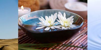 Wellness Club, Breathwork, Yoga Nidra, Meditation, Ayurvedic Lunch