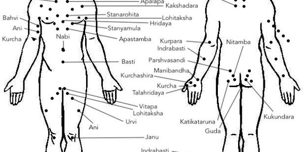 Marma Points, Yoga, Ayurveda