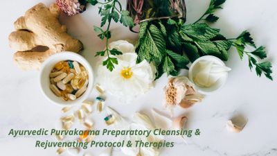 Ayurvedic Detox Rejuvenation Cleansing Purvakarma