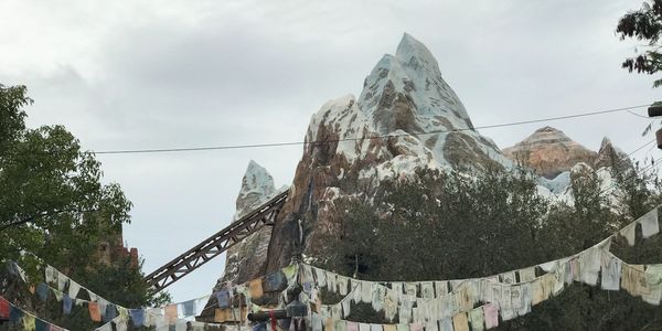 Animal Kingdom, Disney World, Avatar, Pandora