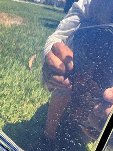 Naples FL Marco Island Detailing Water Spot Removal Scratch Swirl Marks near me paint polish machine