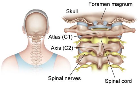 Upper Cervical Chiropractor in Tampa