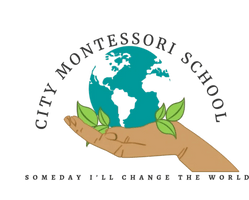 City Montessori School
