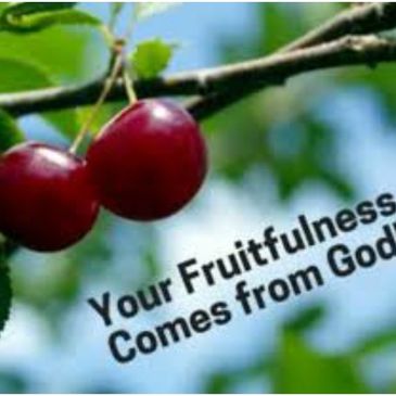Genesis 1:28 KJV “And God blessed them, and God said unto them, Be fruitful, and multiply...”