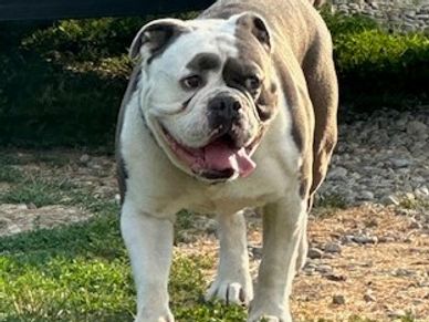 Avery's Acres Open Door Policy