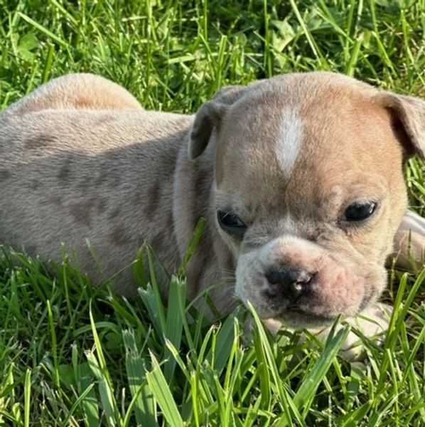 Averys Acres Photo Gallery