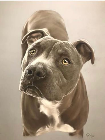 Ritratto a pastello morbido di cane