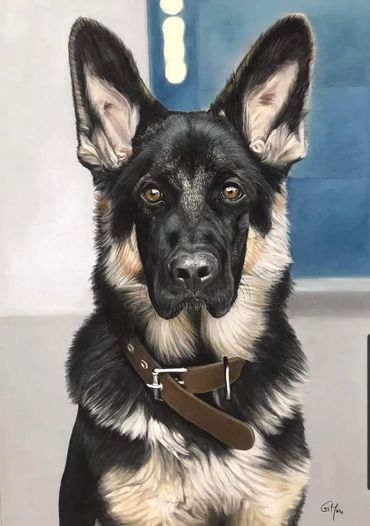 50 x 70 cm (19,7" x 27,6")