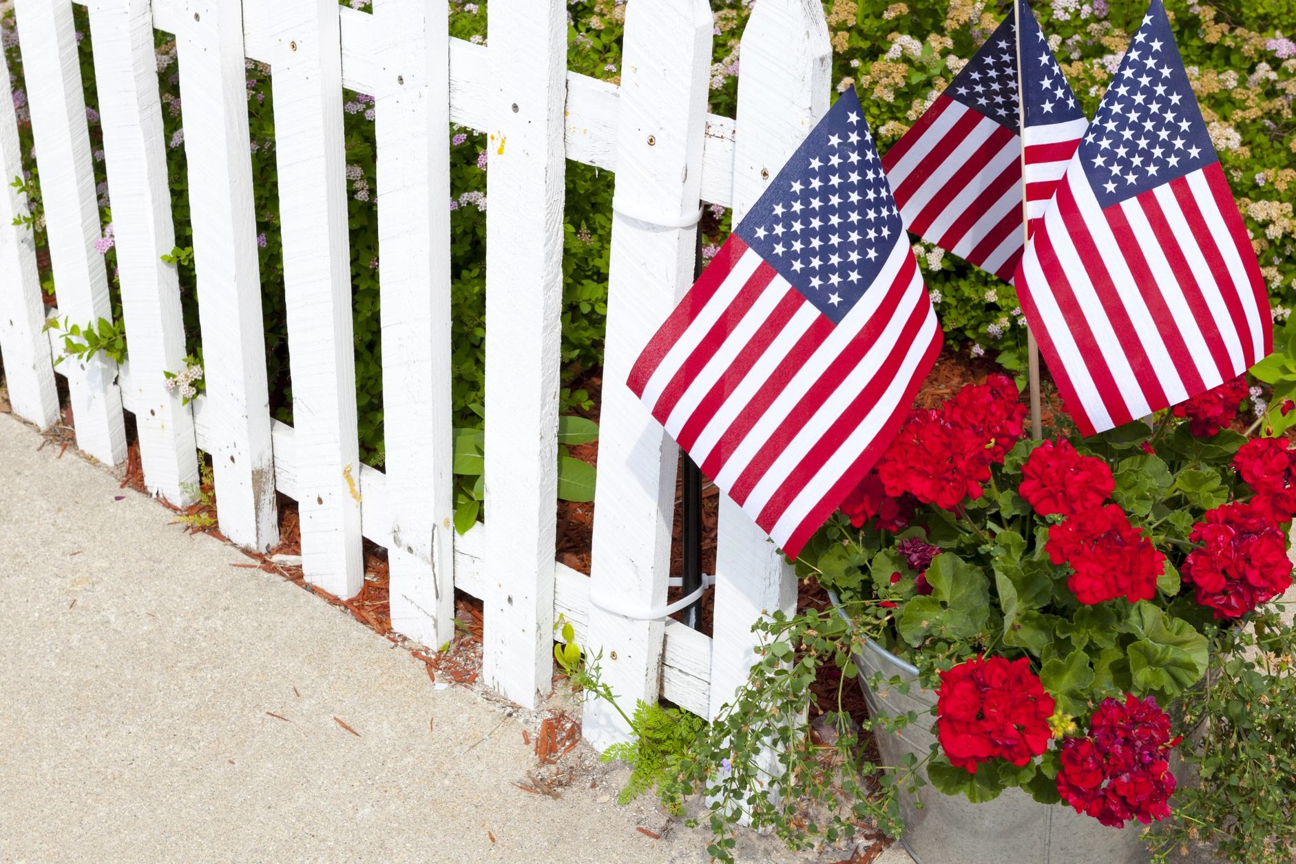 White picket fence with silver bucket holding red carnations and three American flags.