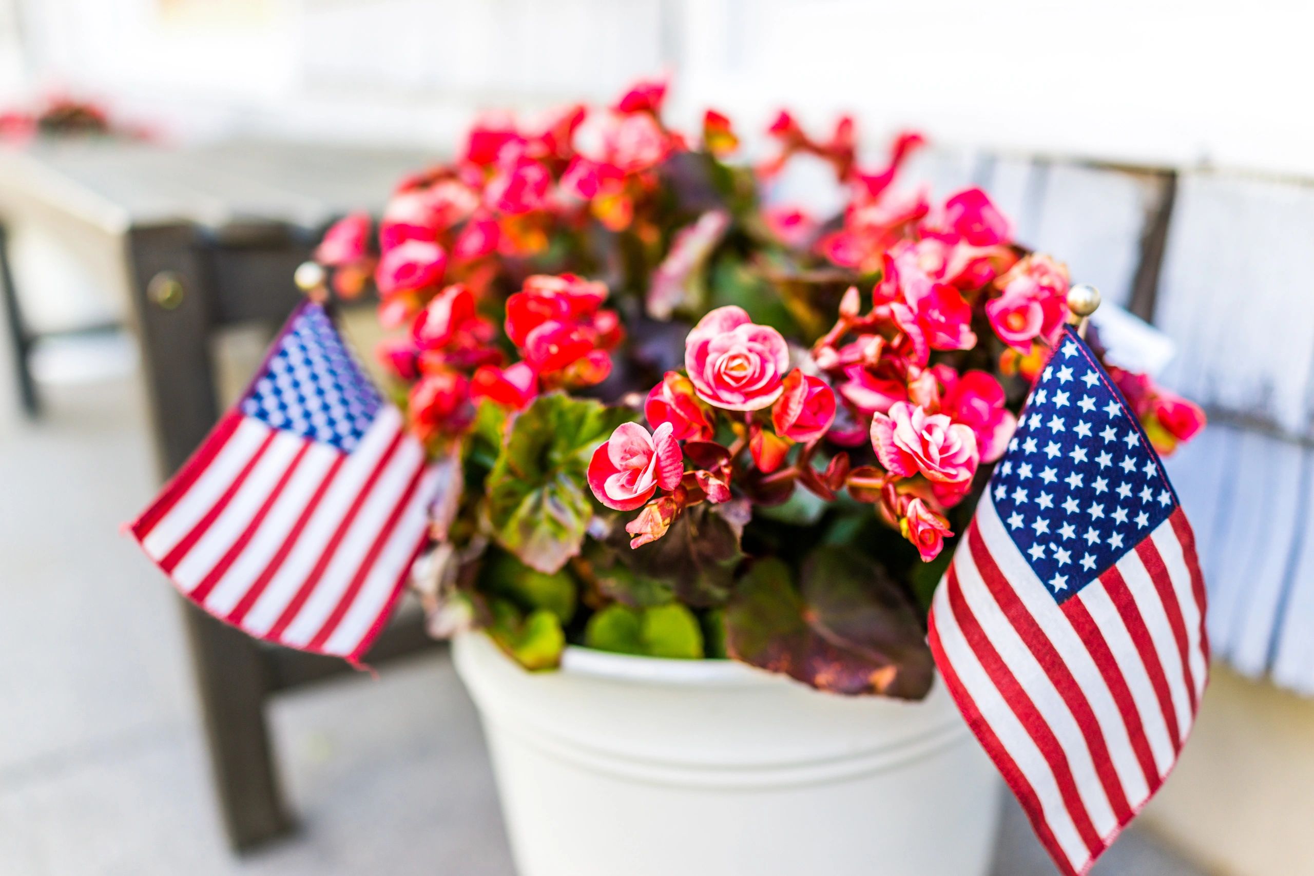 White flower pot wih red flowers and two American flags.