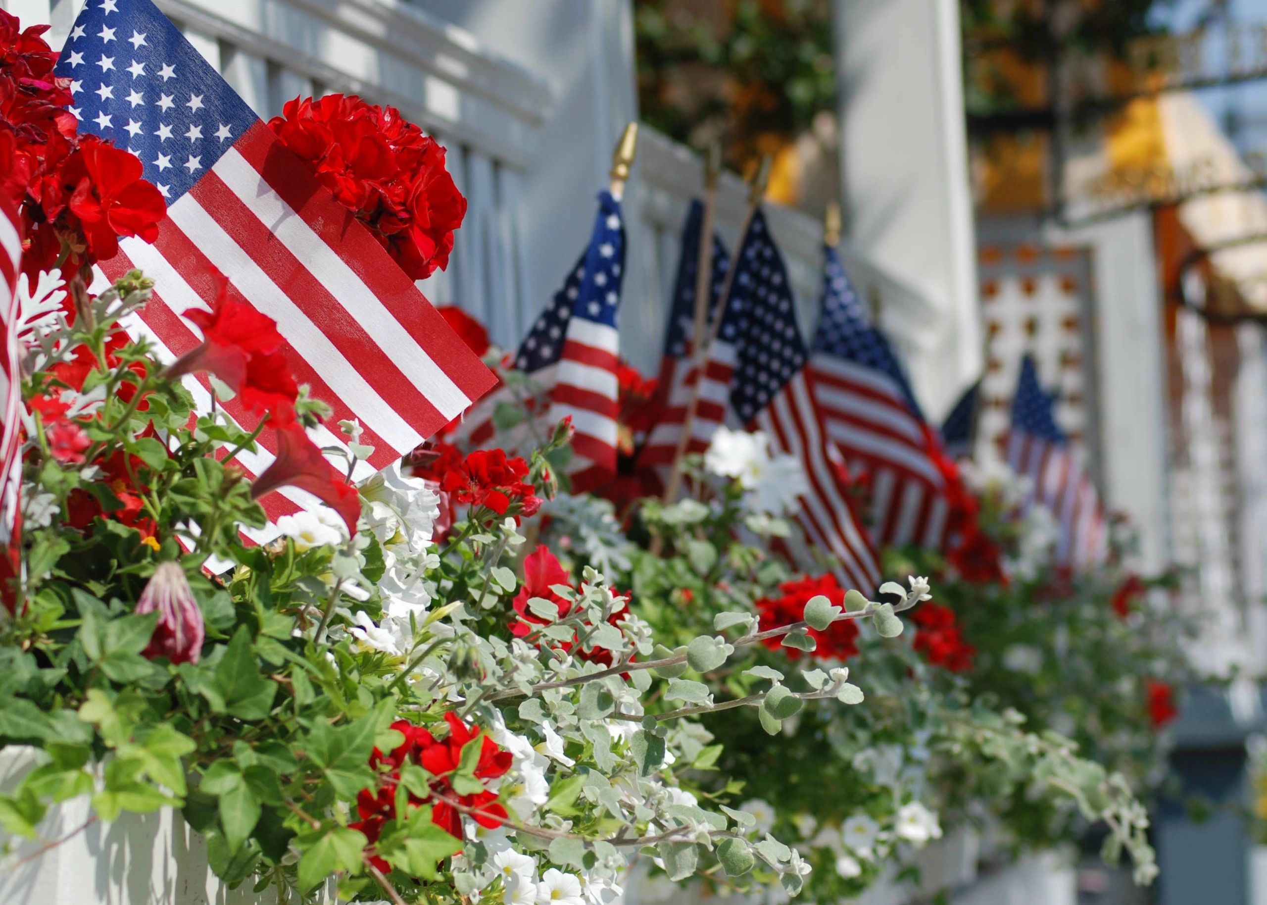 White porch with American flags and a flower box filled with red carnations.