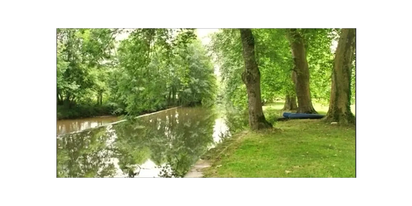A calm river with lush trees and a blue kayak on the grassy bank.