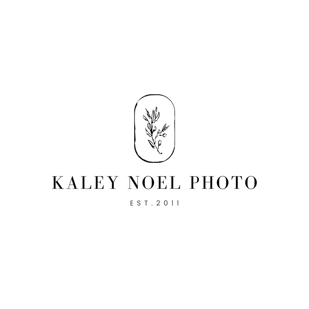 Winnipeg Wedding Photographer Logo