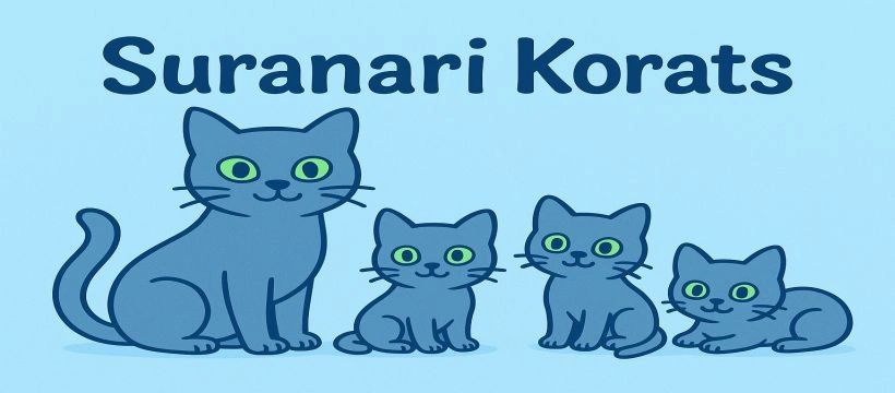 Illustration of four blue Suranari Korat cats with green eyes.