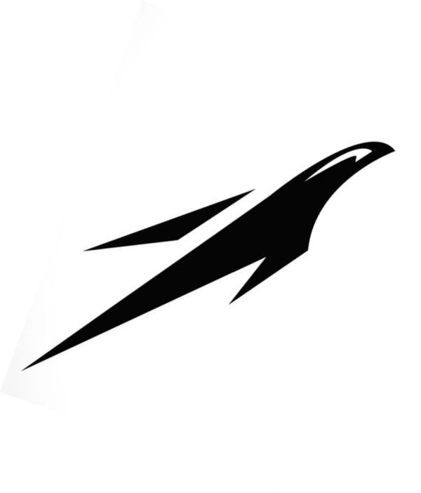 Stylized black eagle head logo with sharp, angular design on white background.