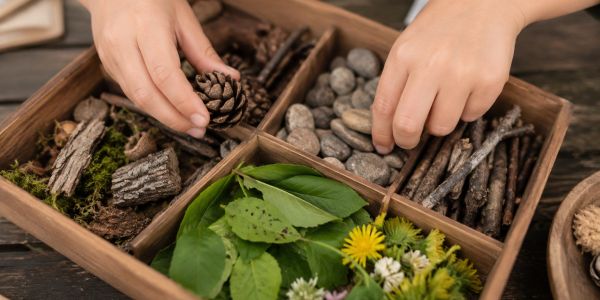 Hands sorting natural items in a divided wooden tray.