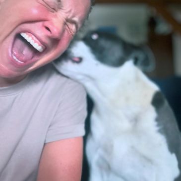 A person laughing joyfully as a dog licks their face.