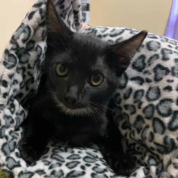 Yippee, I’m going to have a great new life!