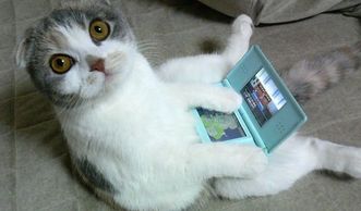 We’re always looking for Social Media help.