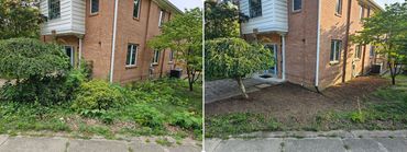 Brush Removal completed by Rosewood Lawncare in Milford, Ohio