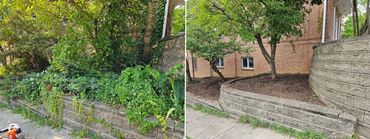 Brush Removal completed by Rosewood Lawncare in Milford, Ohio