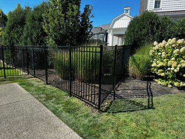 Black metal fence surrounding green shrubs and flowering plants near a white house.