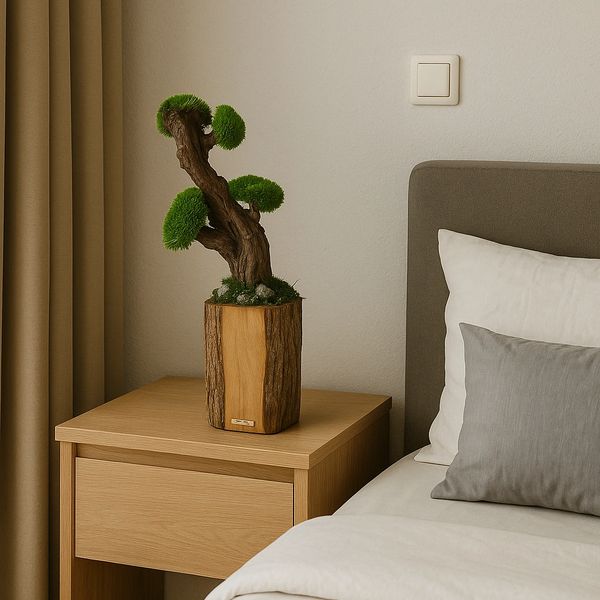 Bonsai tree with a textured brown trunk and rounded clusters of bright green moss.