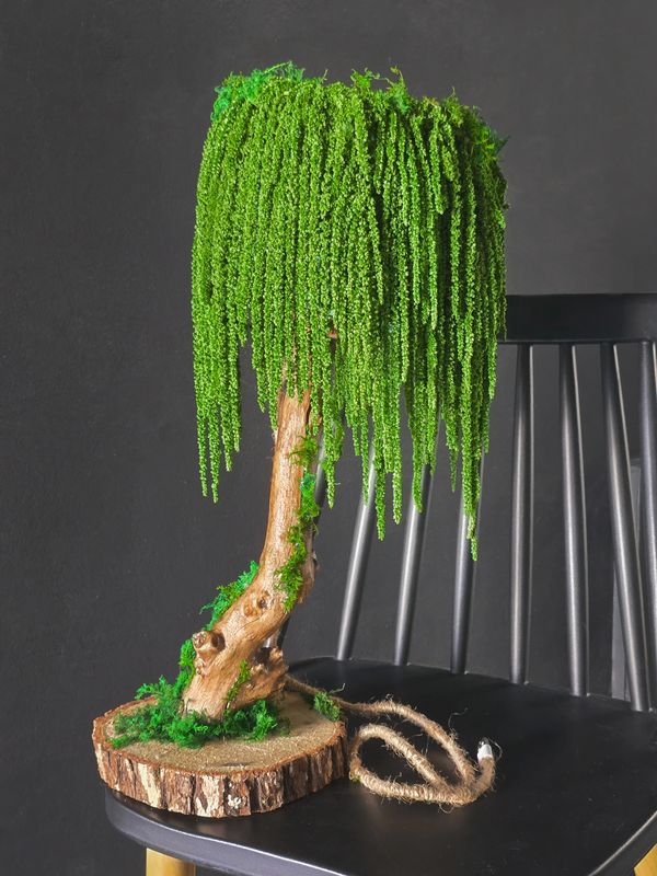 Handmade Table Lamp (USB), with natural plants and moss and wood