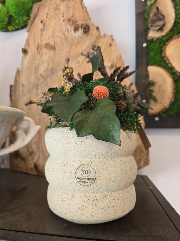 Moss home decoration, perfect for gift. Natural moss.