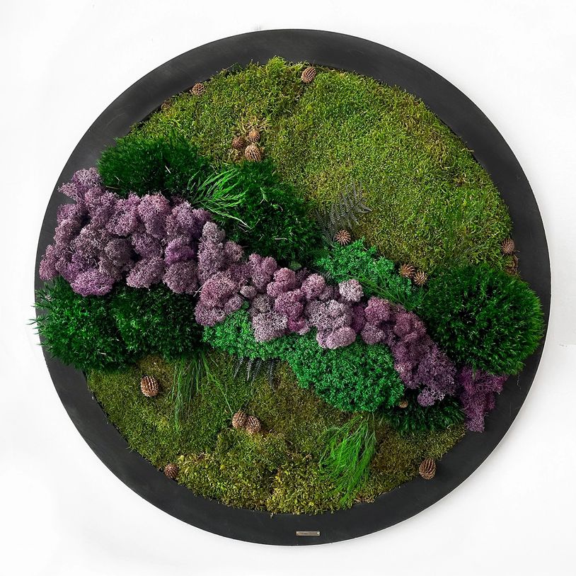 Wall nature art, with natural preserved moss and plants, Zero maintenance, long lasting, Moss Cyprus
