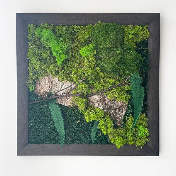 Wall nature art, with natural preserved moss and plants, Zero maintenance, long lasting, Moss Cyprus
