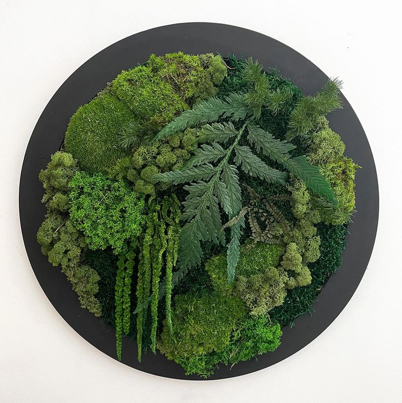 Wall nature art, with natural preserved moss and plants, Zero maintenance, long lasting, Moss Cyprus