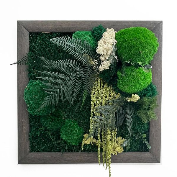 Wall nature art, with natural preserved moss and plants, Zero maintenance, long lasting, Moss Cyprus