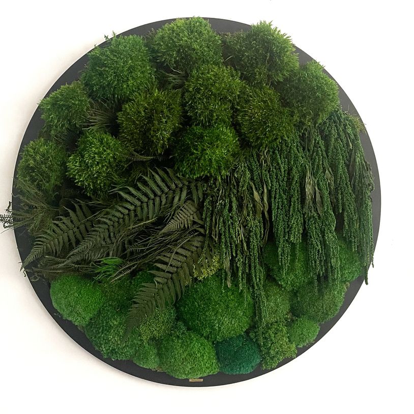 Wall nature art, with natural preserved moss and plants, Zero maintenance, long lasting, Moss Cyprus