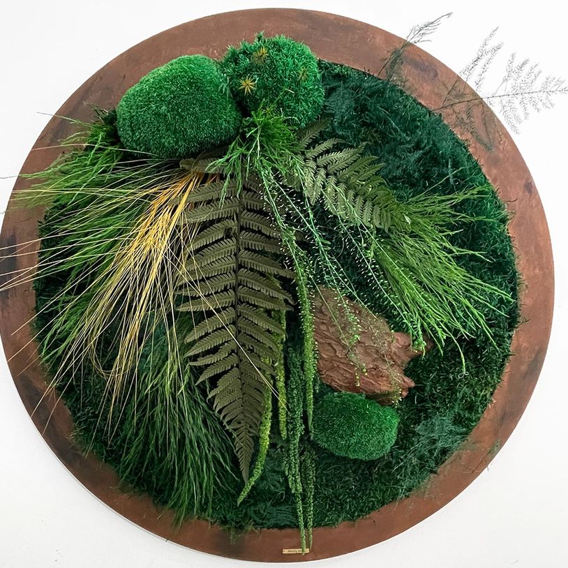 Wall nature art, with natural preserved moss and plants, Zero maintenance, long lasting, Moss Cyprus