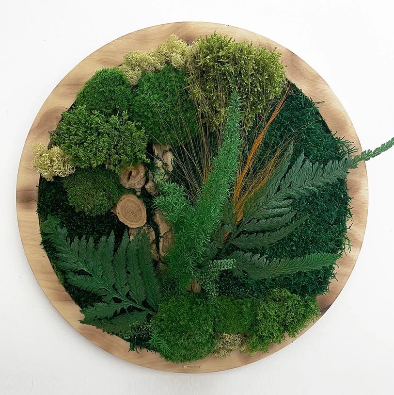 Wall nature art, with natural preserved moss and plants, Zero maintenance, long lasting, Moss Cyprus