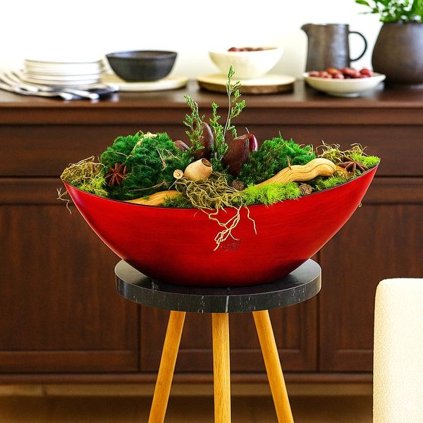 Moss centrepiece decoration with natural moss cyprus