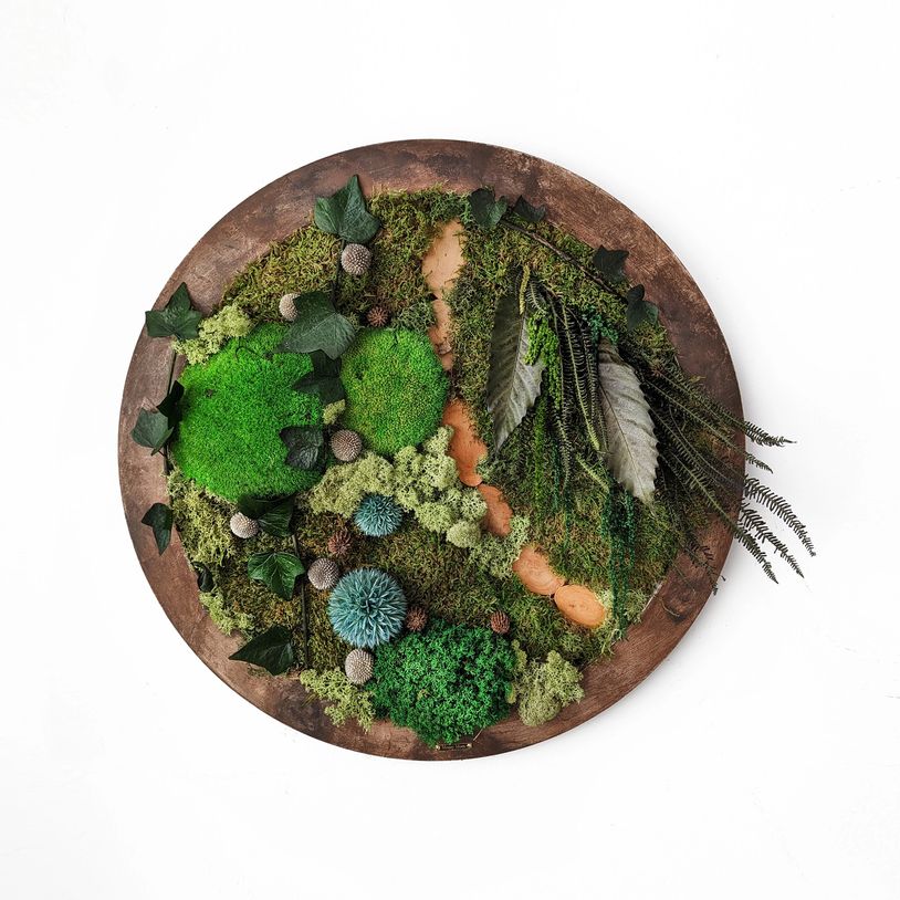 Wall nature art, with natural preserved moss and plants, Zero maintenance, long lasting, Moss Cyprus